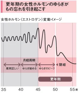 更年期の女性ホルモンのゆらぎは物忘れを引き起こす